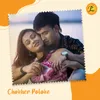 About Chokher Poloke Song